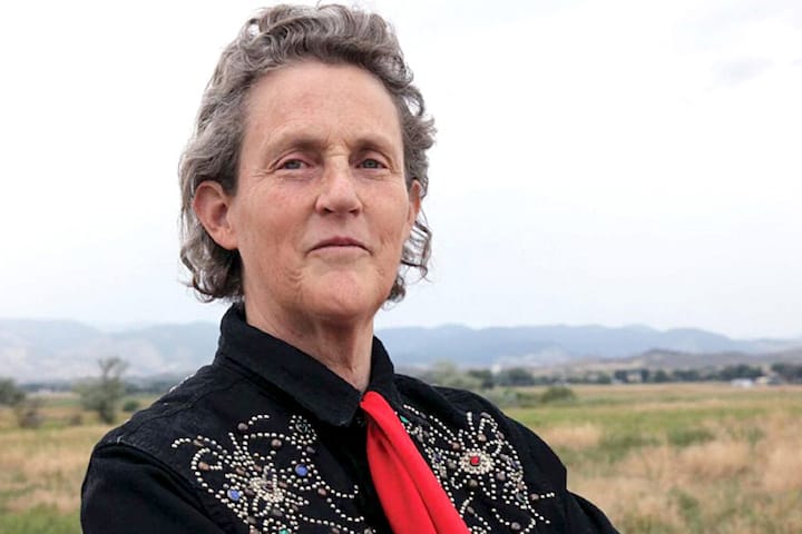 Temple Grandin, inventore della macchina degli abbracci.