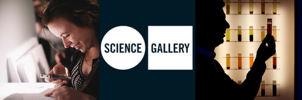 Science Gallery Venice, ricerca del direttore